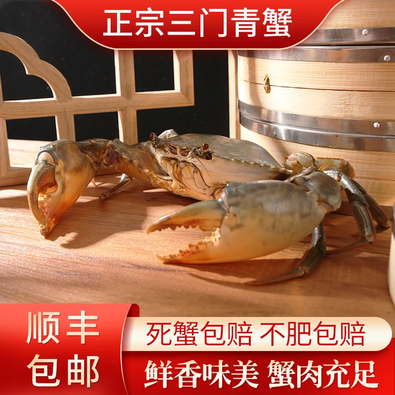 【七小鲜】备正宗三门青蟹公蟹猷蠓菜鲟鲜活捕捞海鲜水产