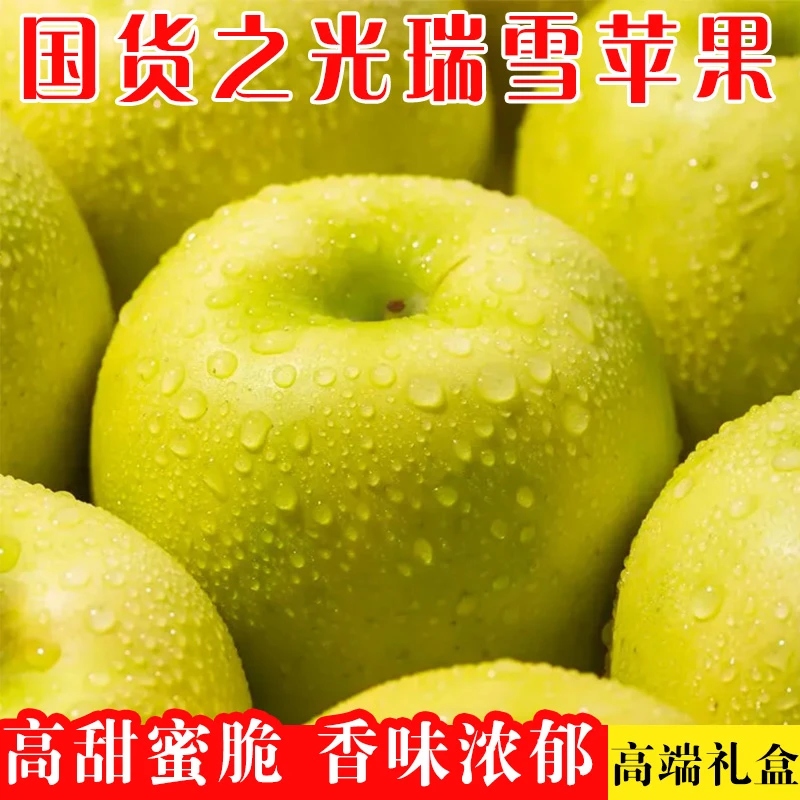 【陕西】白水瑞雪苹果礼盒装6.5±斤 果径 82-85mm  9-12个