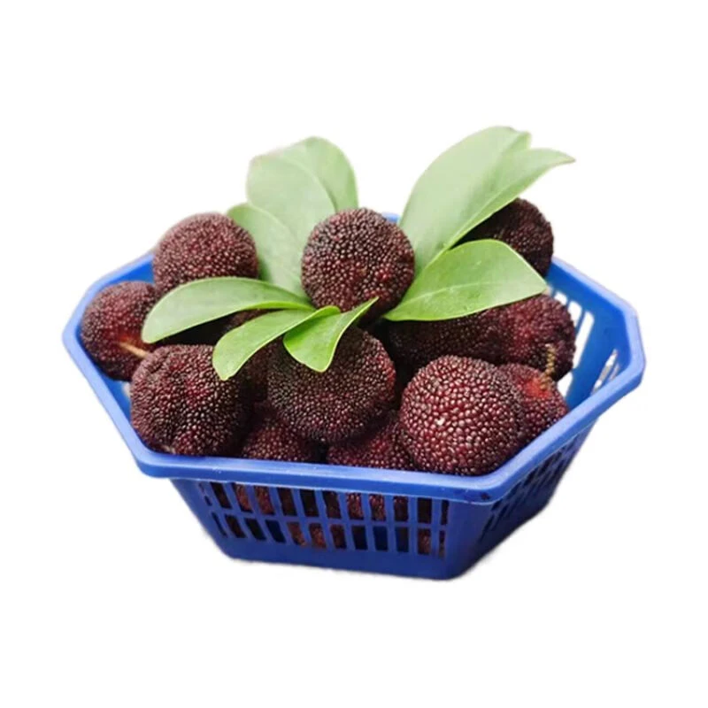 杨梅（菱形盒）约250g/盒
