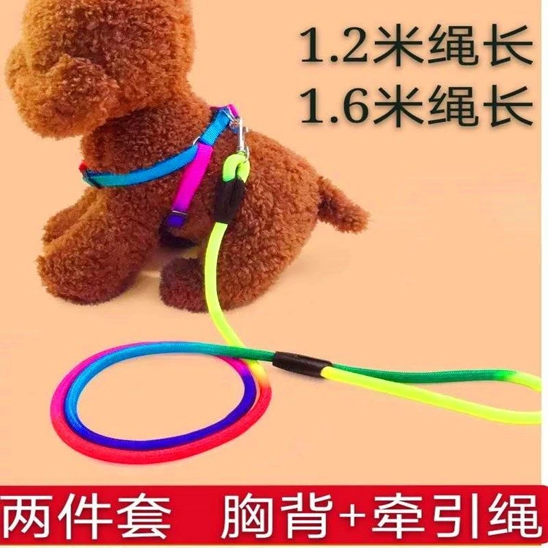 其他家遛狗绳子小泰迪狗狗牵引绳链子幼犬小型犬栓溜牵耐用可调节