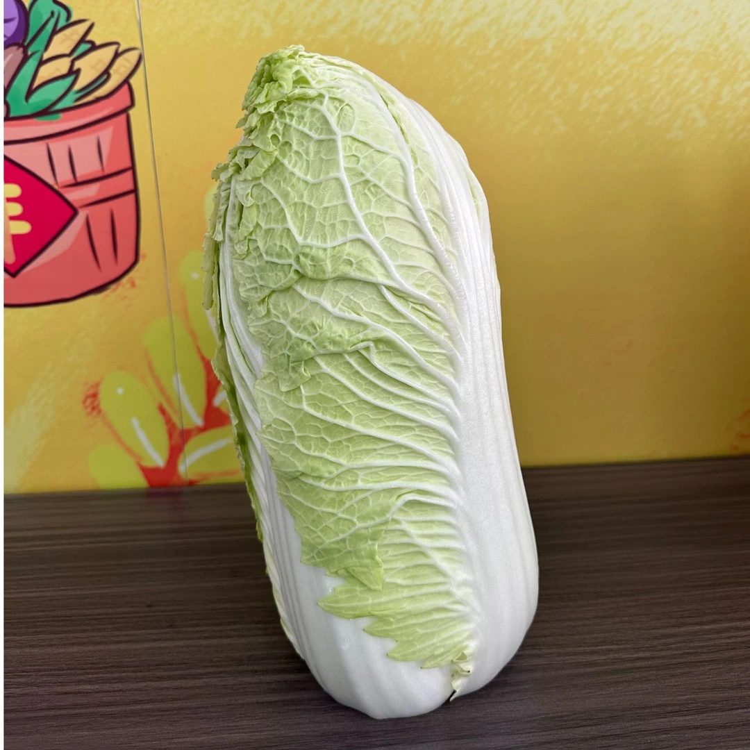 玉田特产三号白菜当季新鲜蔬菜