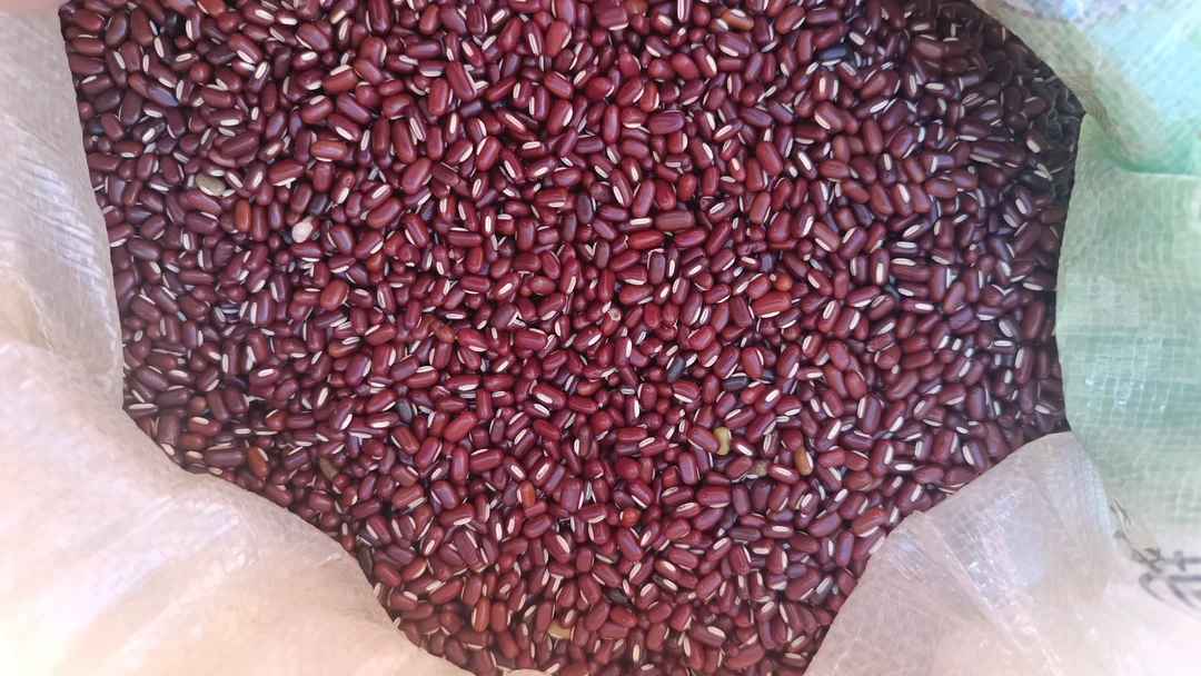 云南农家自种赤小豆