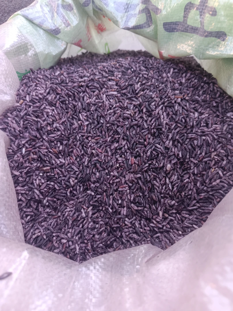 云南农家自种紫米