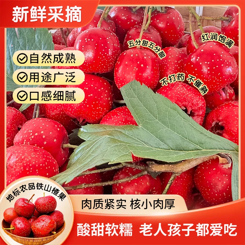 【买三斤送二斤】兴隆特产水果甜山楂野山楂儿童老人糖葫芦酸甜可口