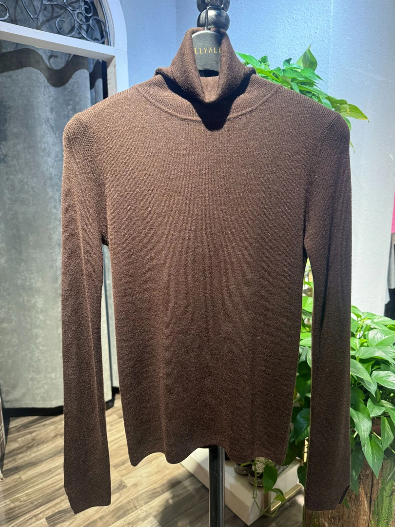 2024秋冬新款小立领软糯长袖打底衫女士冬季羊毛秋衣韩版简约上衣