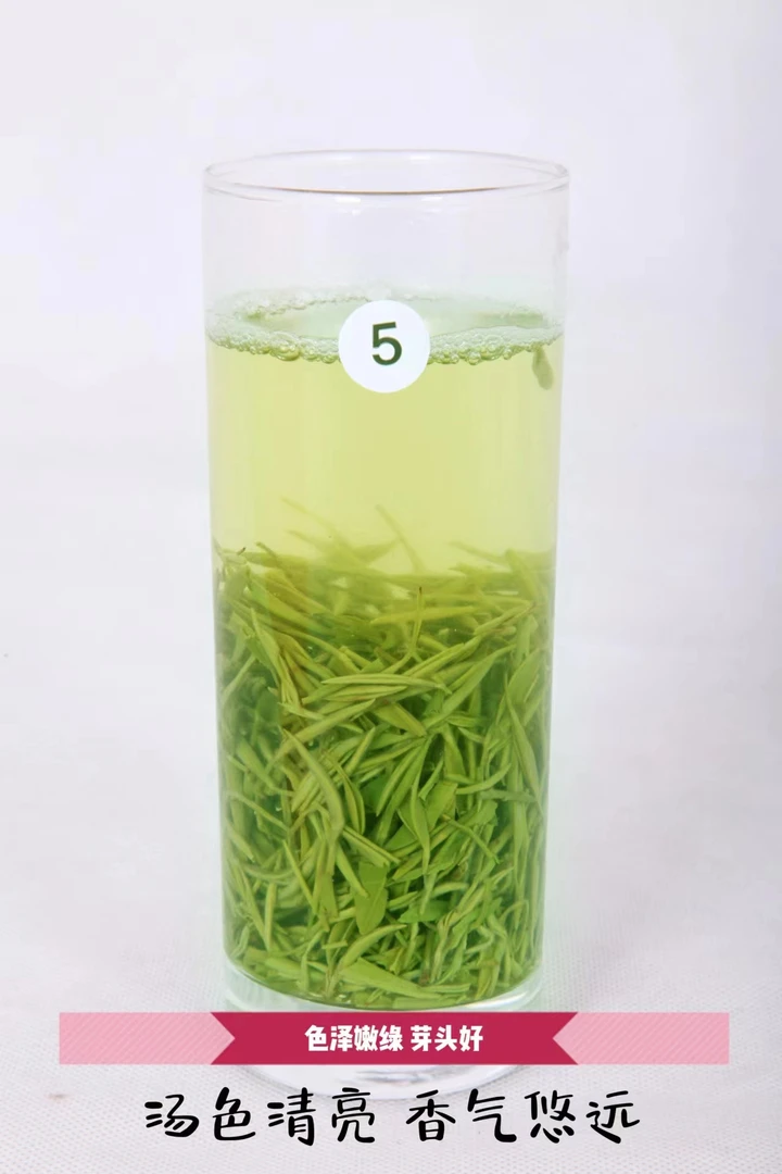 5号五峰毛尖明前手工好喝好茶品质采摘免费品尝健康茶香自然礼品