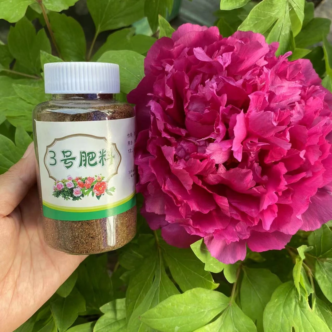 【3号菌肥】促生根防烂根防死棵2瓶装花卉多肉绿植适用