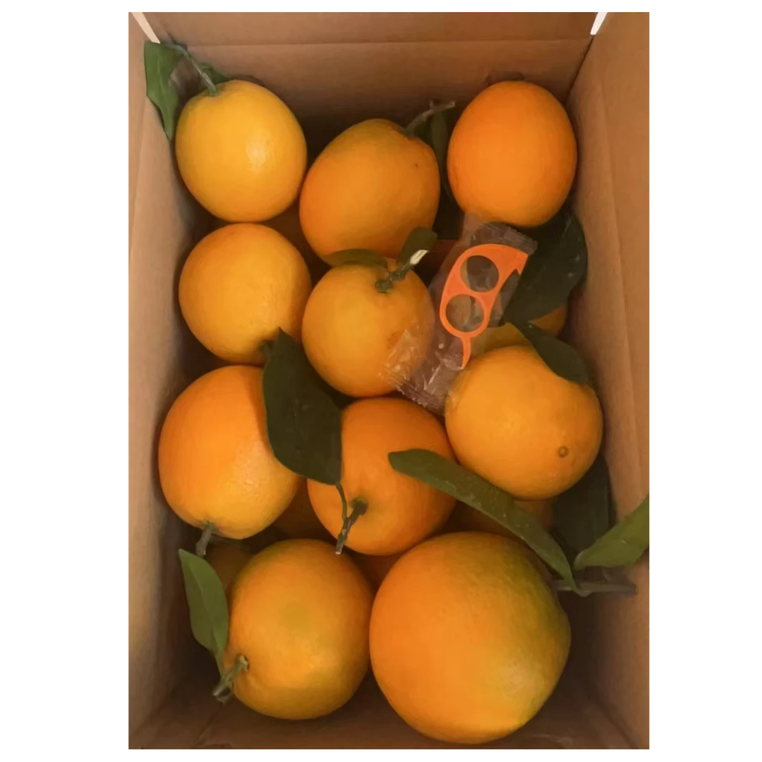 赣南脐橙自家采摘精品果新鲜现发