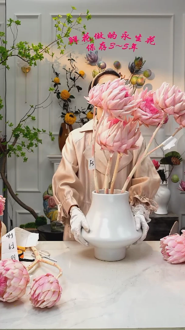 【闪购商品】F5桃夭永生洋蓟