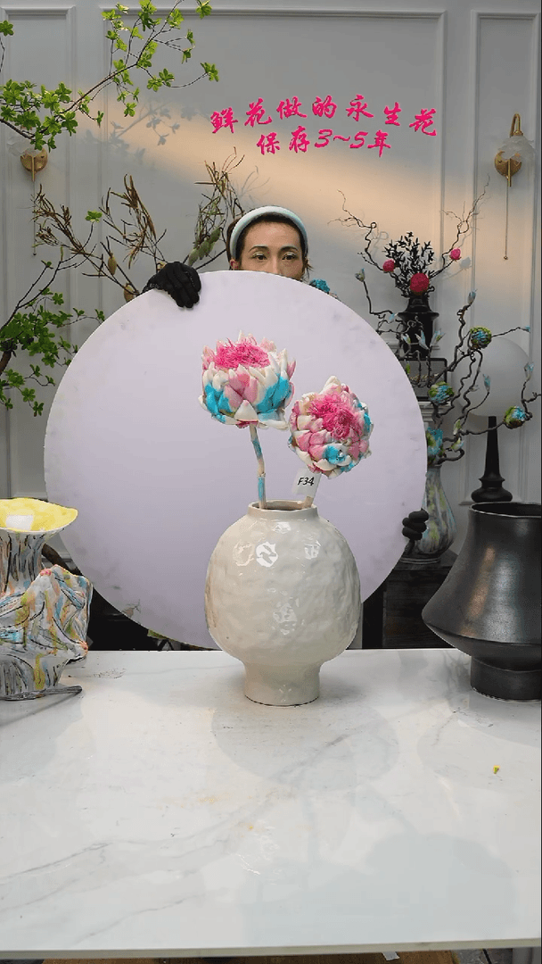 【闪购商品】F34冰激凌永生洋蓟