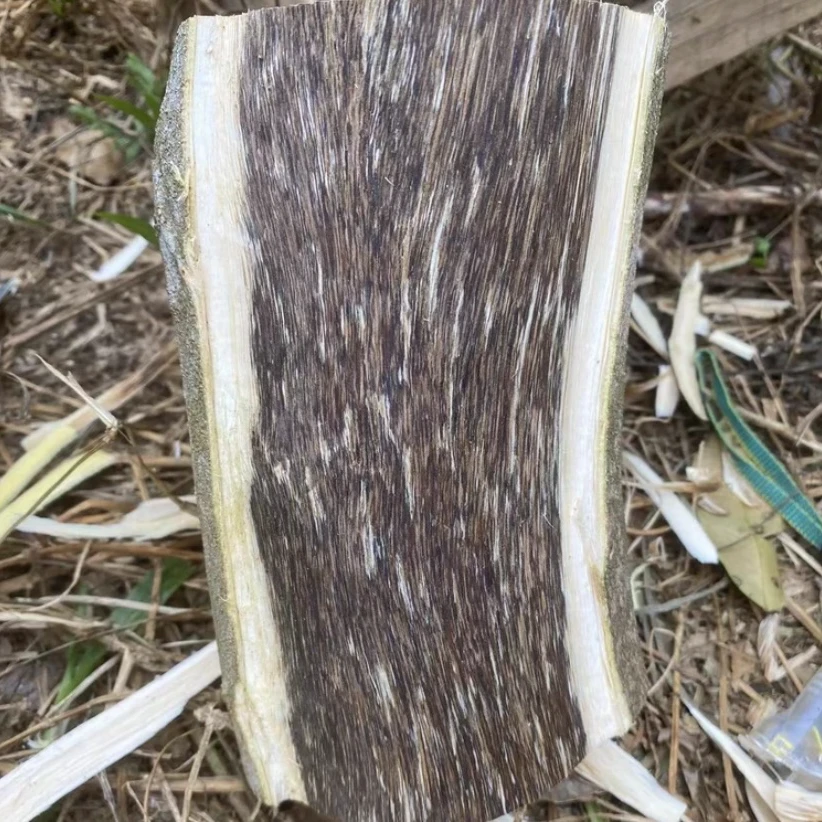 家居摆件 原木摆件