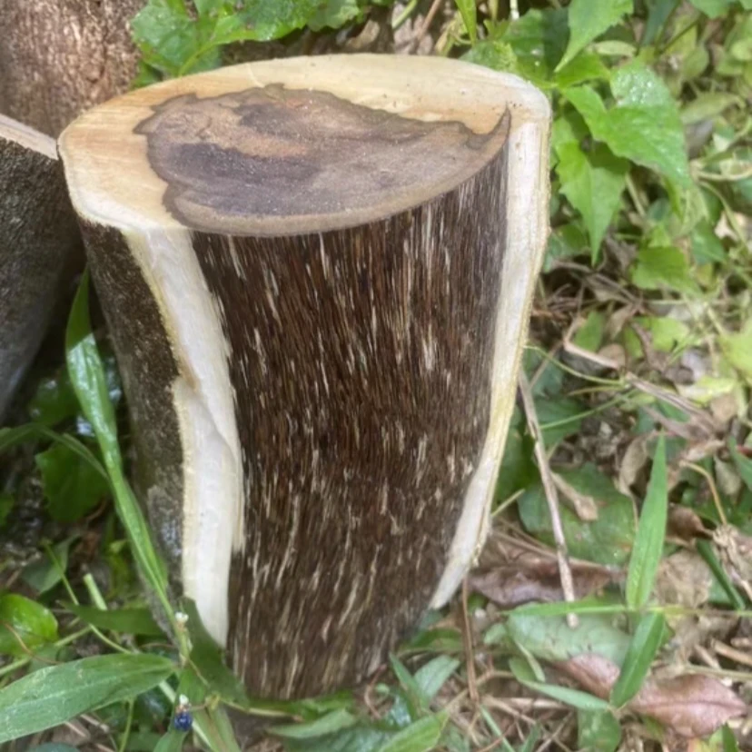 家居摆件 原木摆件