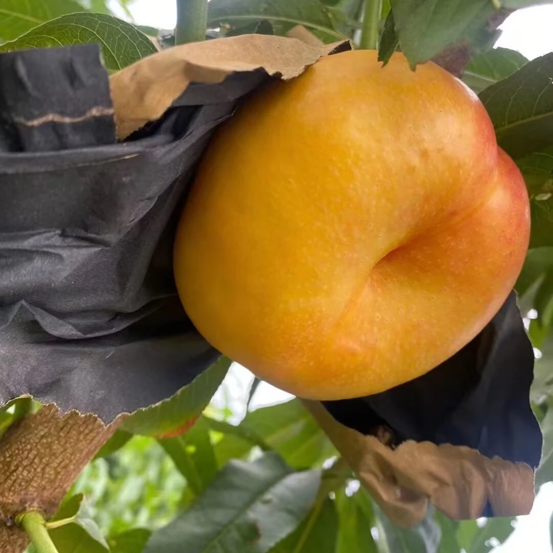 正宗平谷鲜桃—精品油蟠桃礼盒5斤装，果园直发 现摘现发。