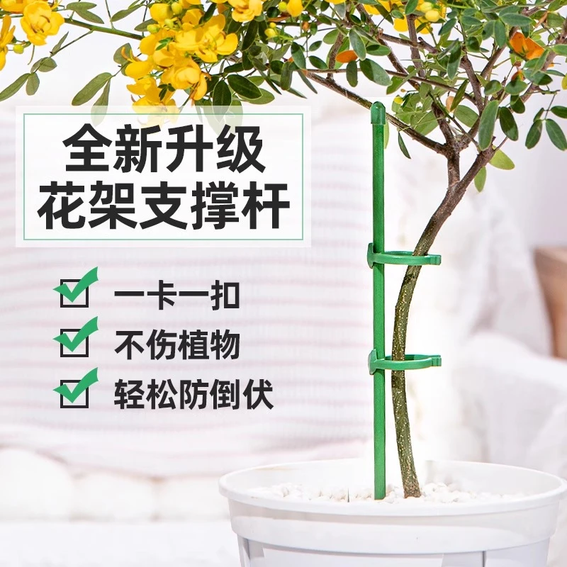 花架植物支撑杆蝴蝶兰杆园艺造型花专用防倒伏固定架子爬藤花支架