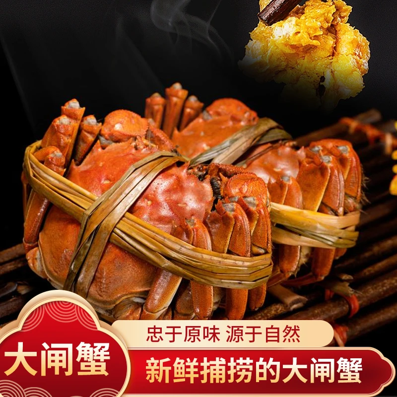 哆米【活蟹】苏州精品大闸蟹3.0两全母蟹8-10只礼盒装