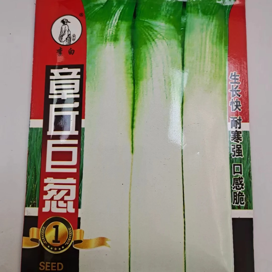 李白章丘巨葱种子
