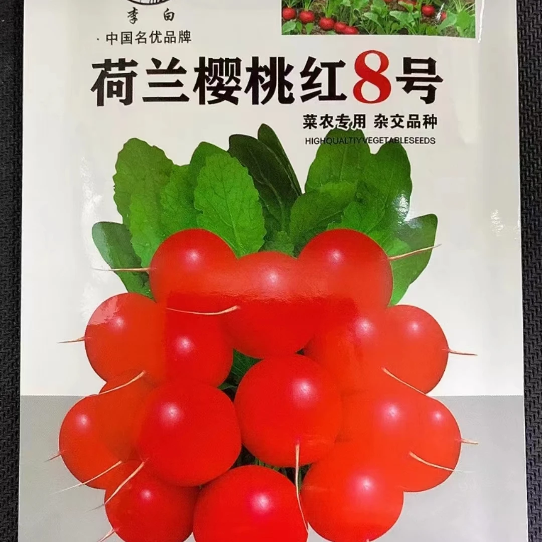 李白荷兰樱桃红8号红丁种子