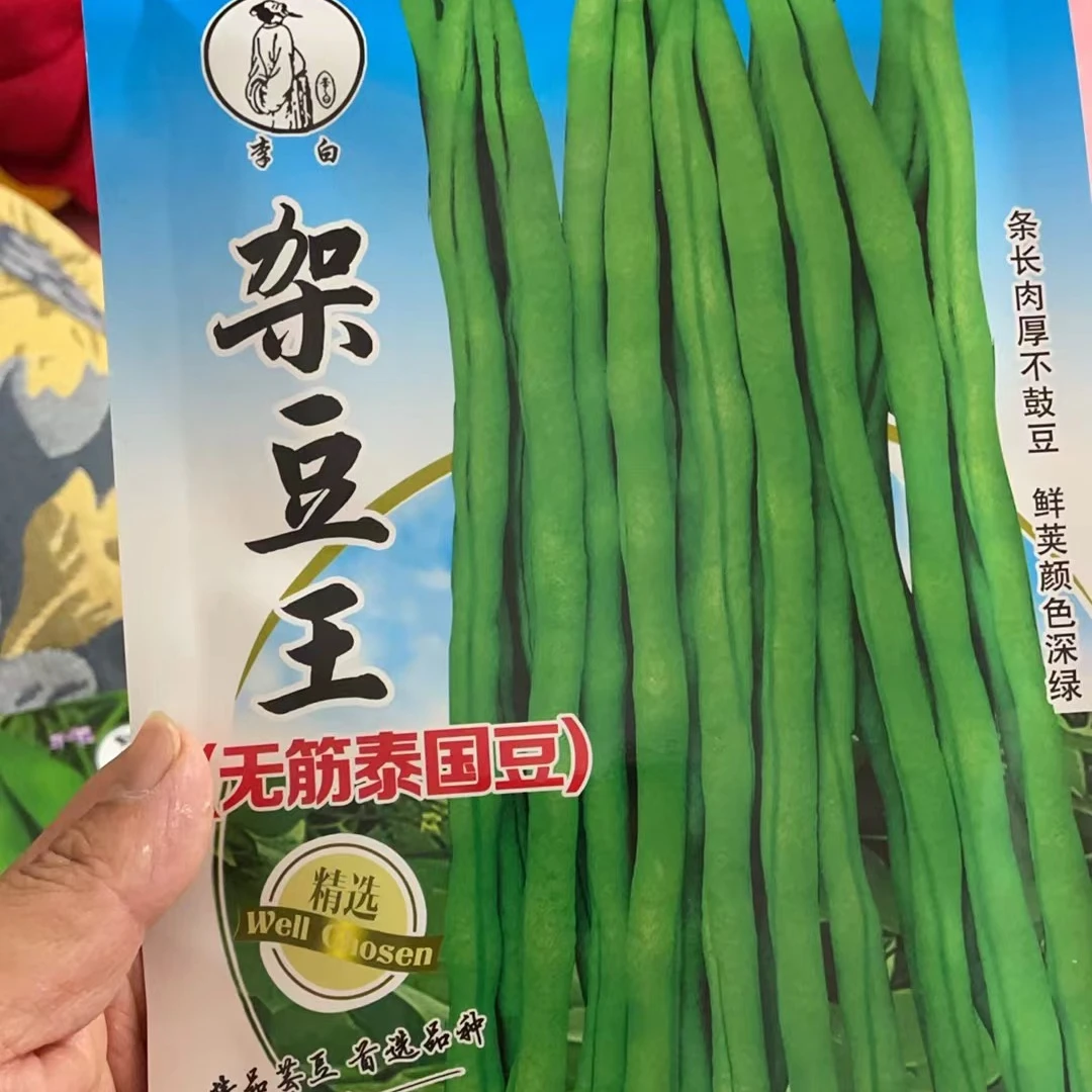 李白泰国架豆王无筋种子