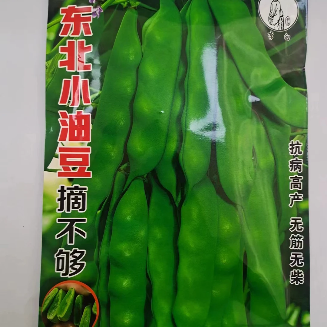 李白东北小油豆种子