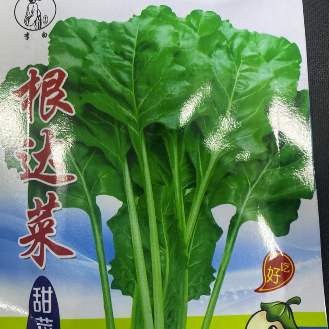 李白根达菜甜菜樱种子