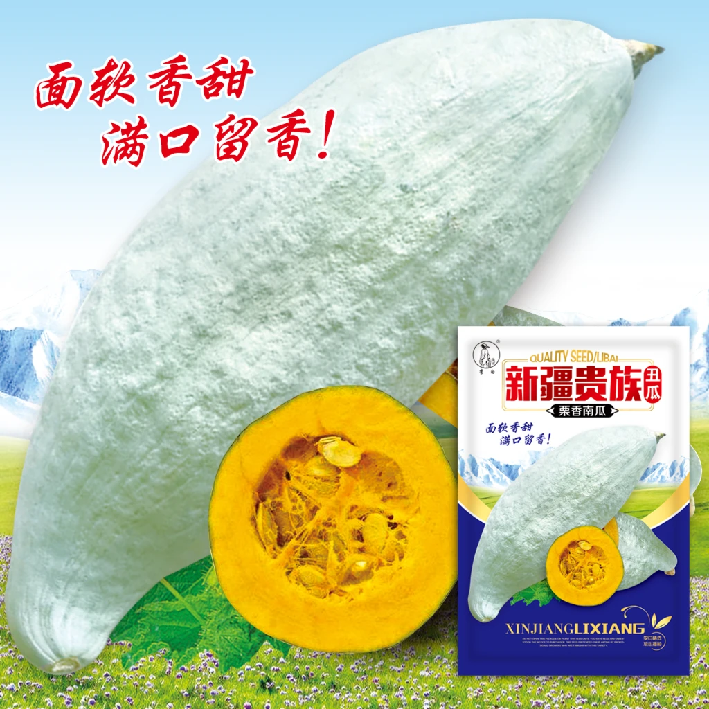 李白新疆贵族丑瓜种子