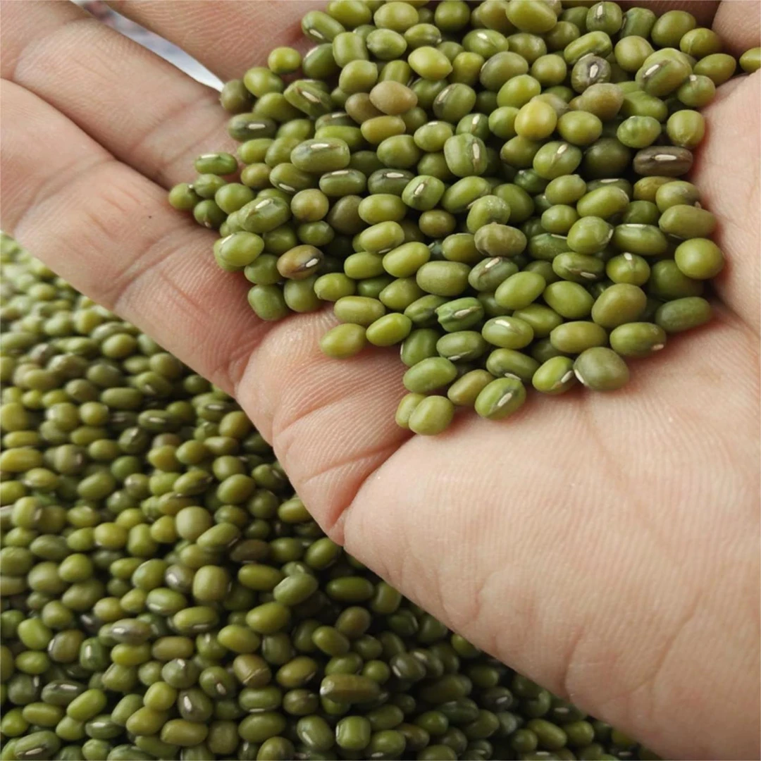 【扬哥哥专属】湘西农家绿豆  精选绿豆 皮薄易沙易煮 500g