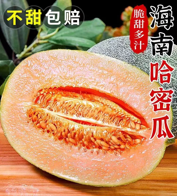 脆甜海南哈密瓜新鲜冬季水果3-9斤装果园采摘口感爽口甜蜜西州