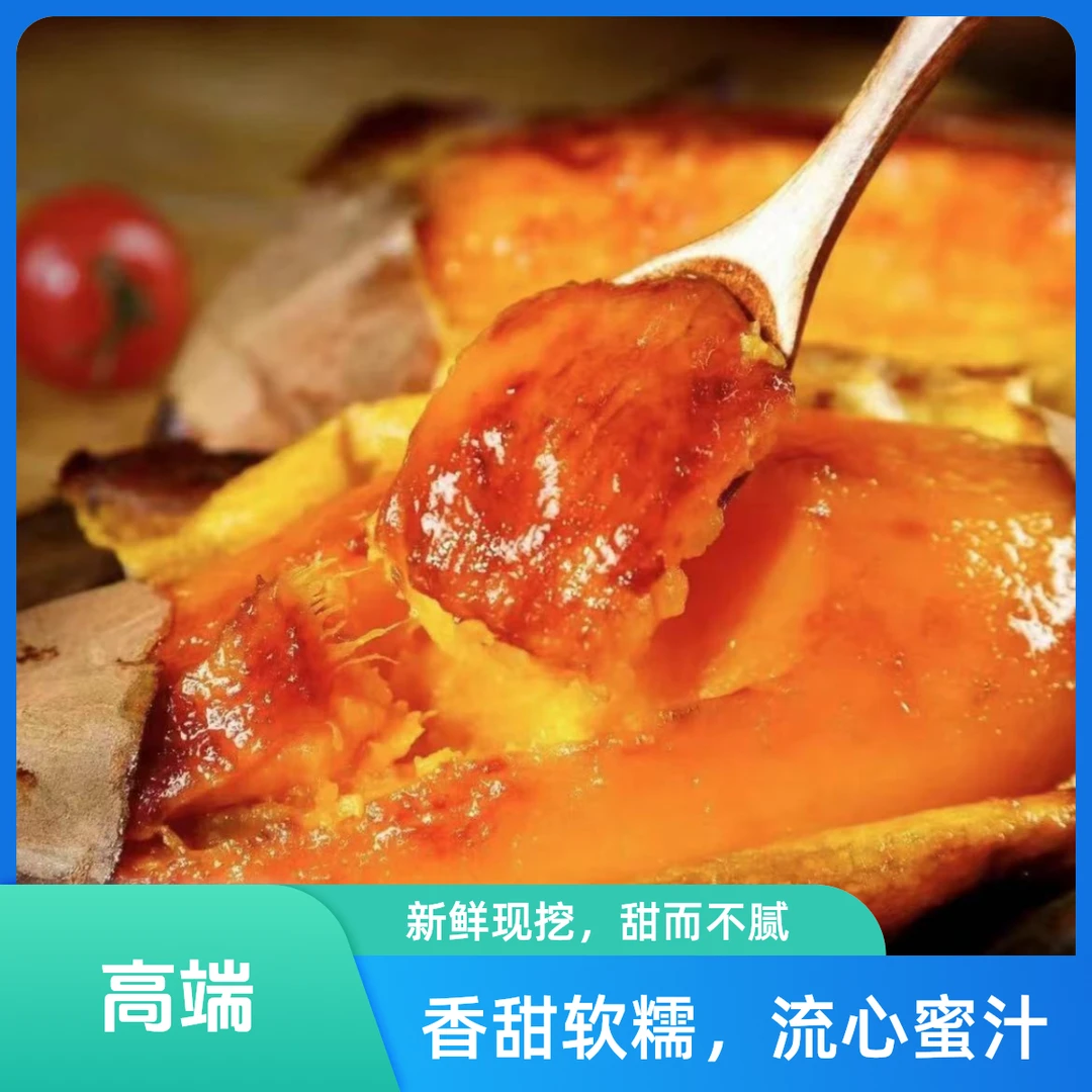 【坏果包赔】山东烟薯25号蜜薯 净重5/10斤 新鲜糖心番薯红薯烤地瓜