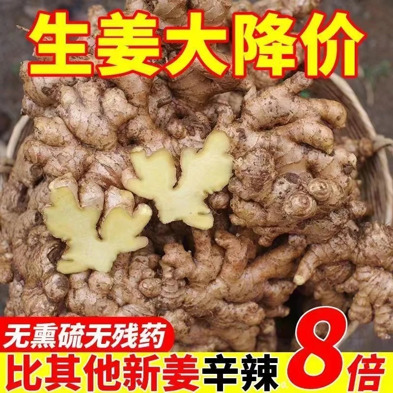 【整箱特价】云南正宗小黄姜生姜现挖新鲜月子姜农家特级生姜批发