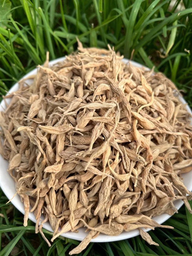 野外采挖 多年生野麦冬 大小不一