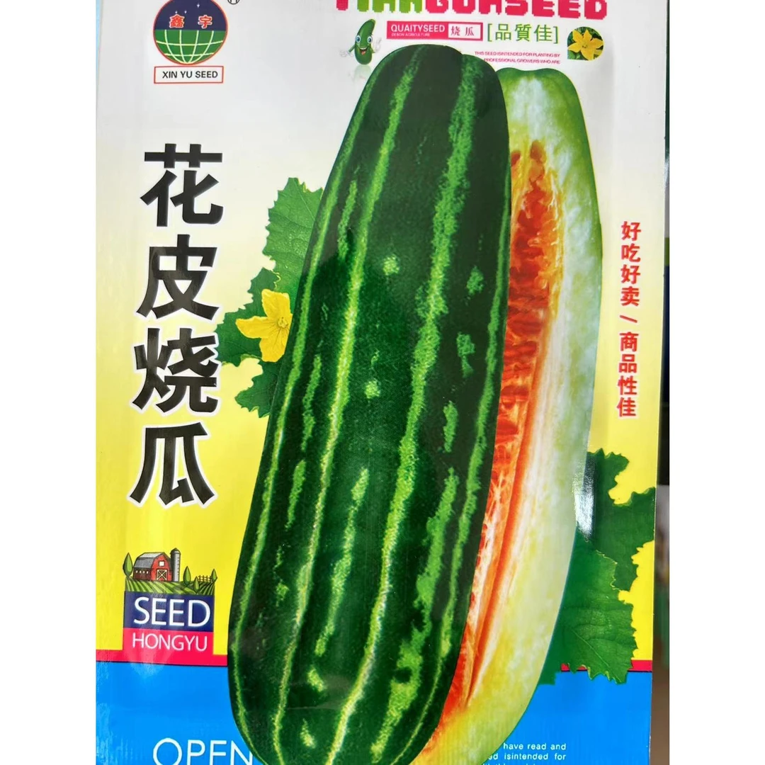 花皮烧瓜种子烧瓜种子