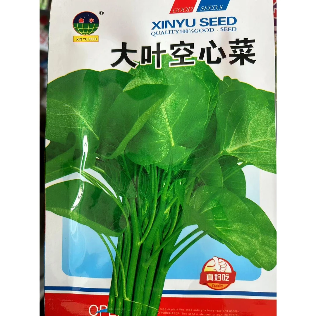 大叶空心菜种子空心菜种子