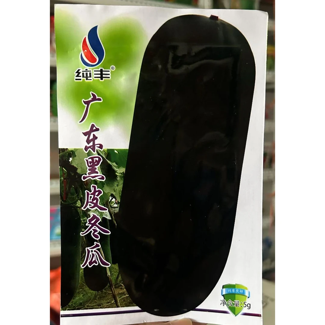 纯丰黑皮大冬瓜种籽