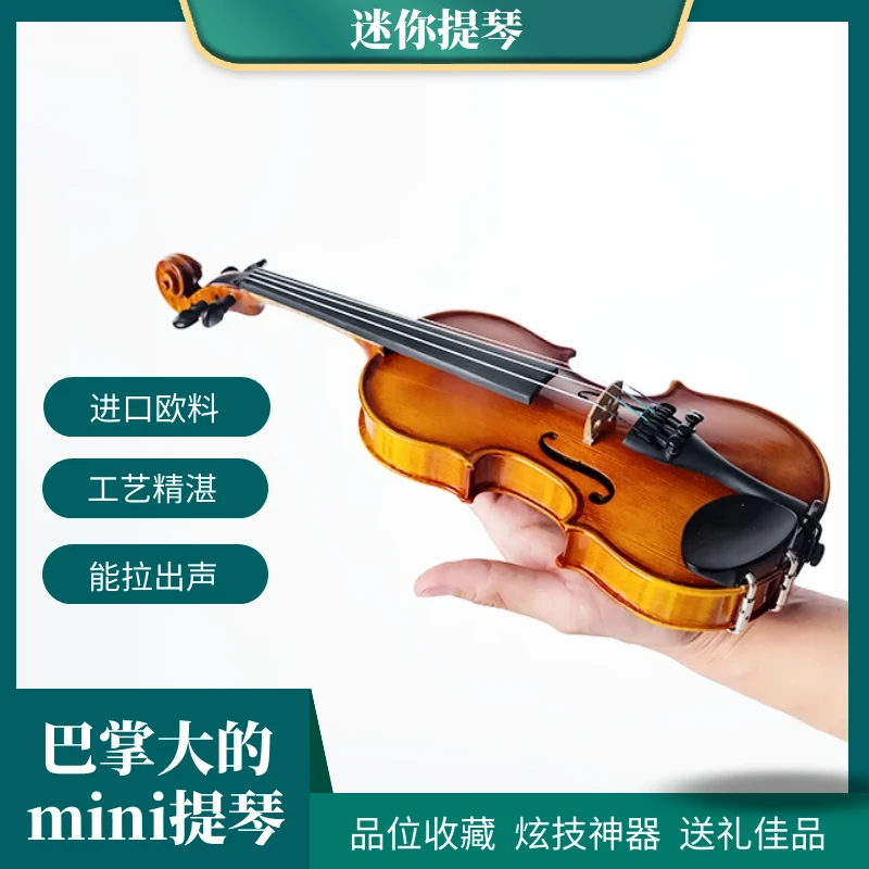 弦乐之家迷你提琴欧料独板还没满月的小提琴