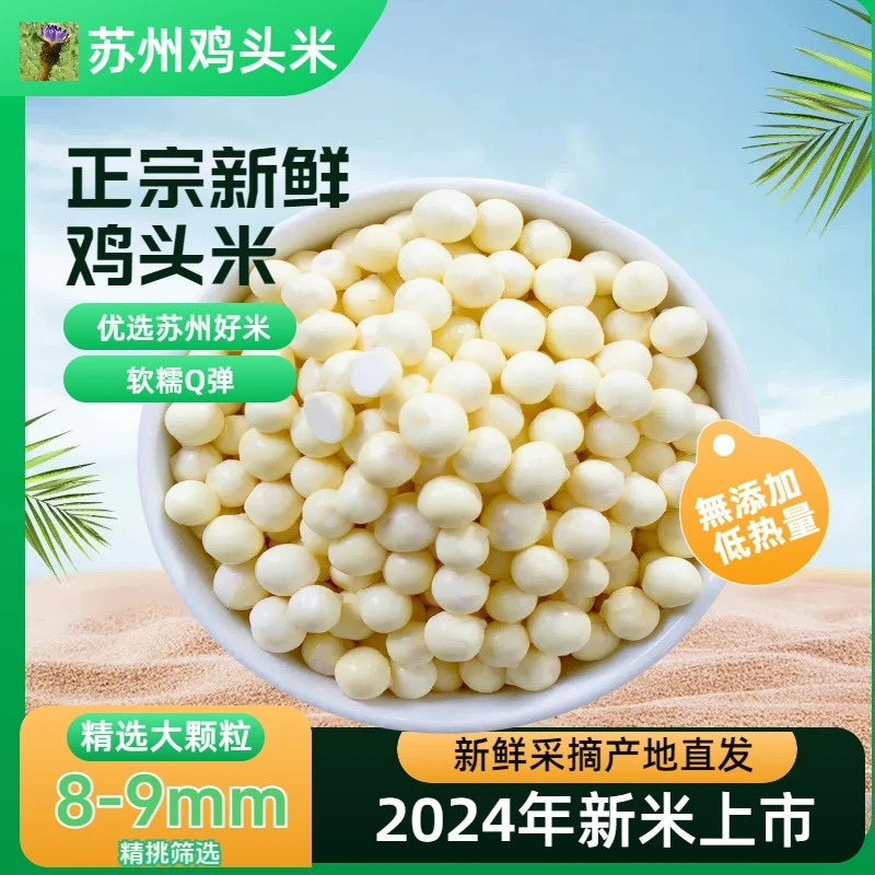 【大果】苏州鸡头米 新鲜采摘芡实农产品正宗苏州南芡农家直发