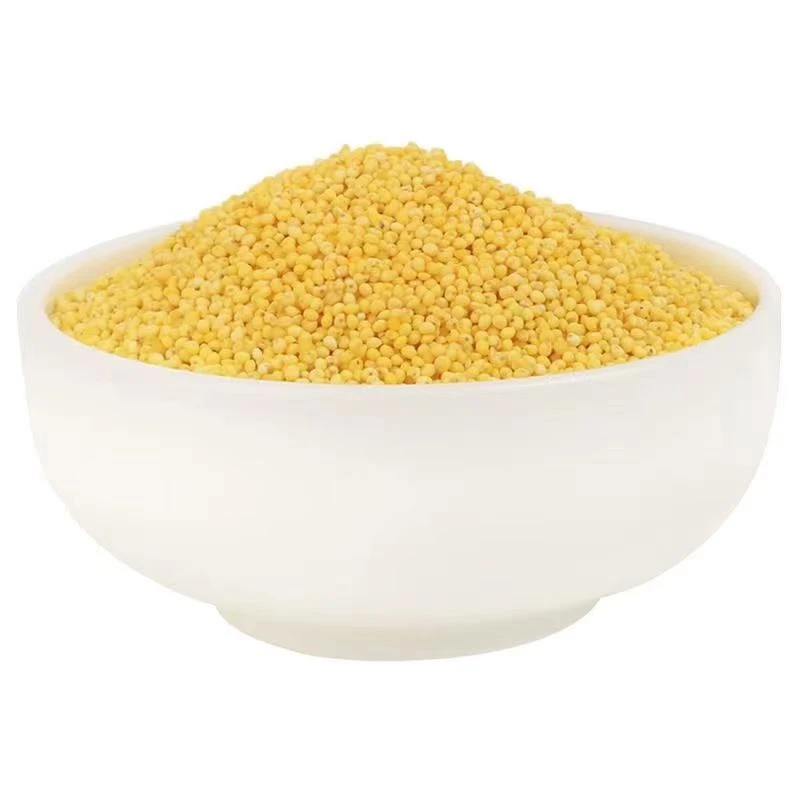 2025年山东临朐上林新小米黄小米小黄米农家米油月子小米自家种植