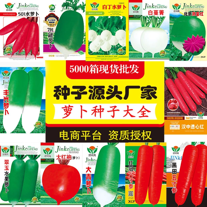 【全店满5包包邮】萝卜种子大全秋季白罗卜红胡萝卜沙窝水果