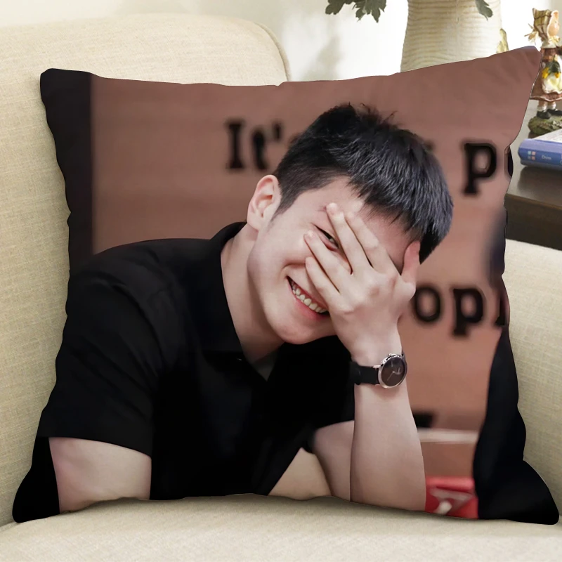 樊振东周边抱枕小胖乒乓球同款双面车载靠垫宿舍个性定制礼物垫枕