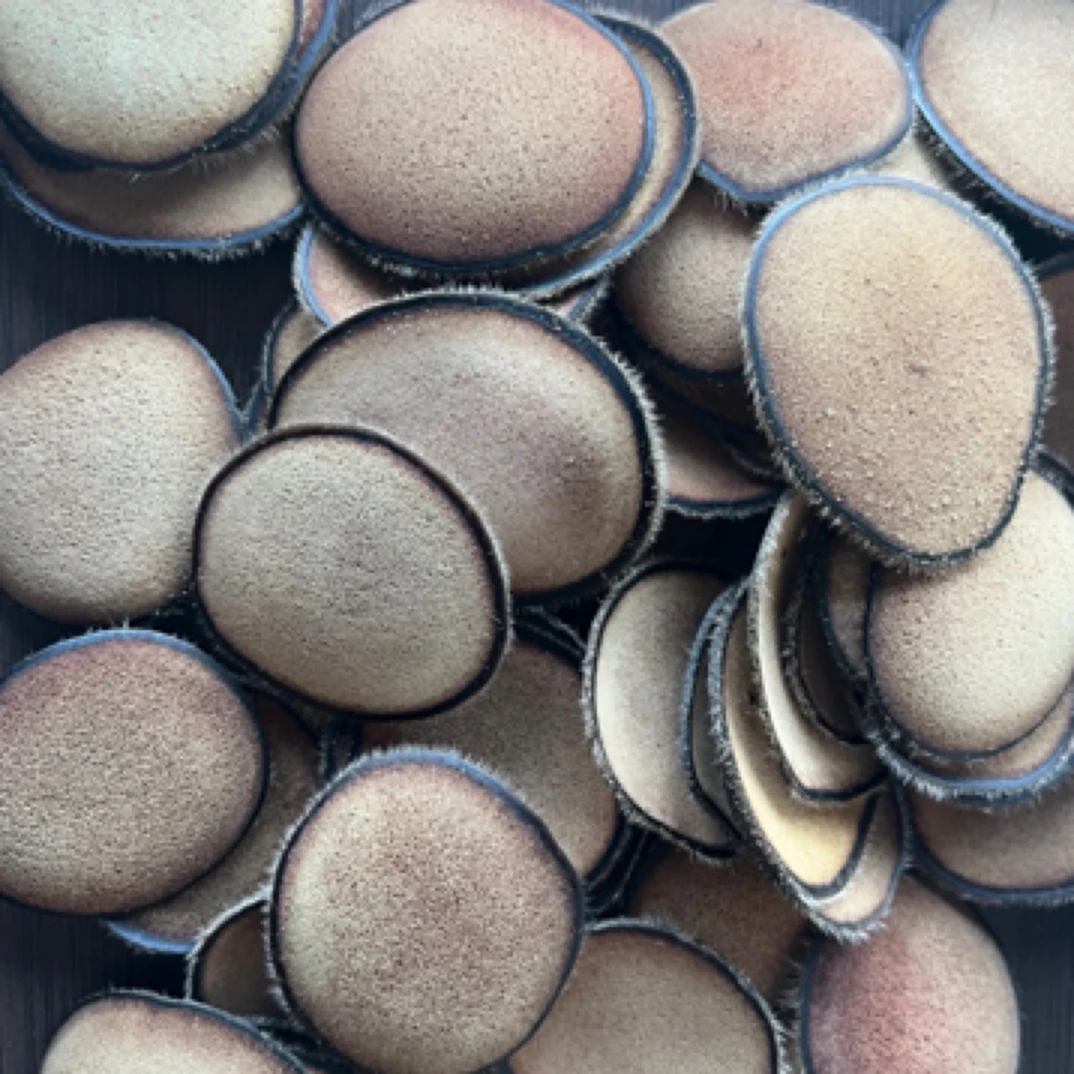 东北特产鹿茸片煲汤泡酒