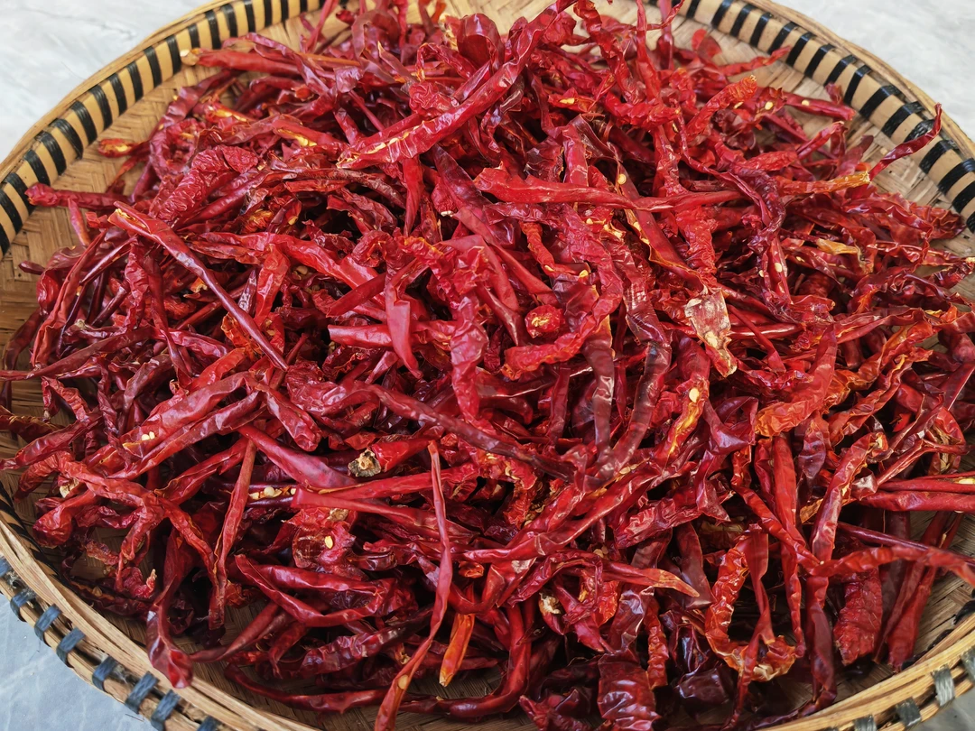 邵阳本地农家自晒干红辣椒中辣250g