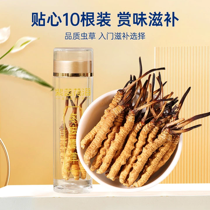 【阿弟虫草228】足干滋补养生好礼高品质冬虫夏草新货10根装