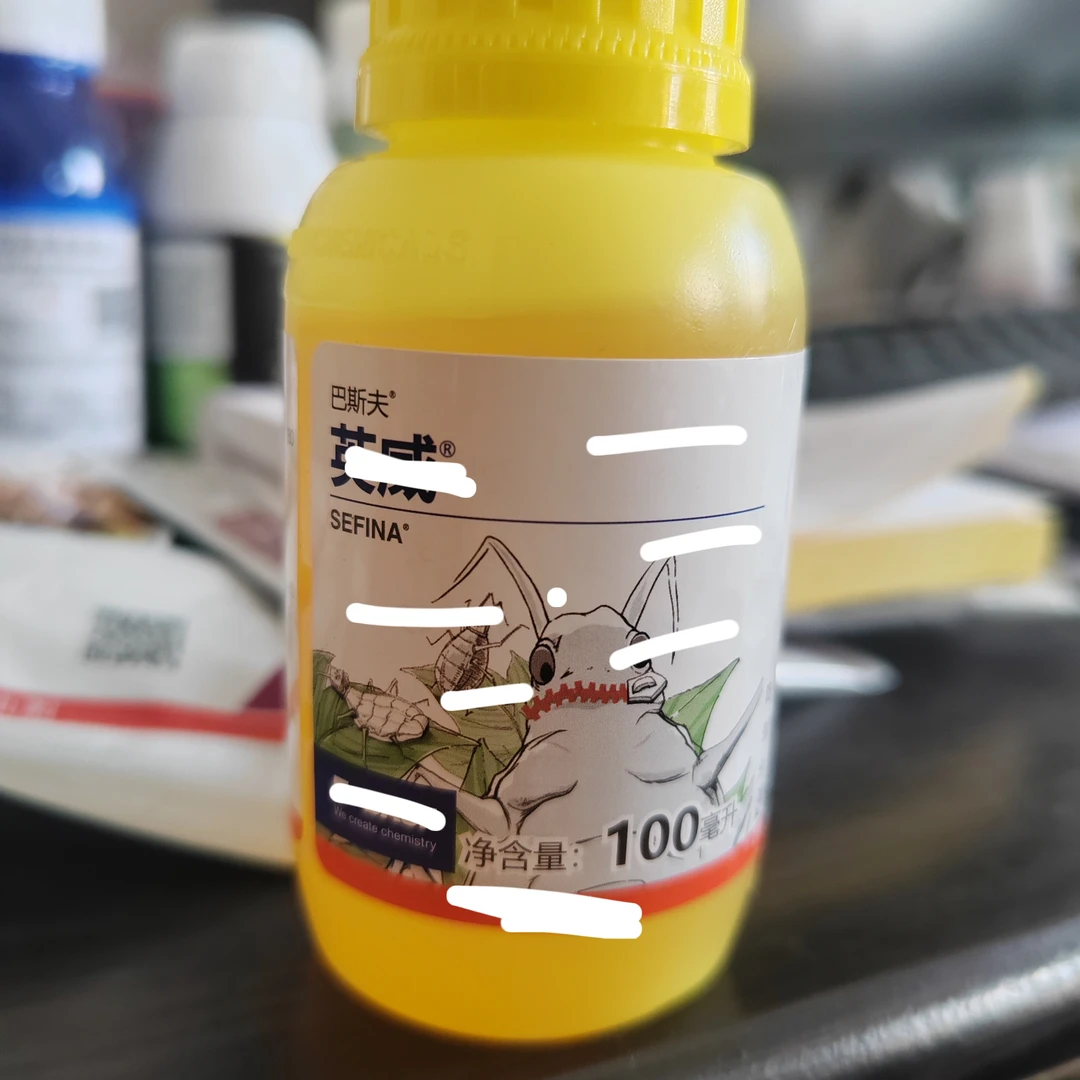 水溶肥—英为100克每瓶