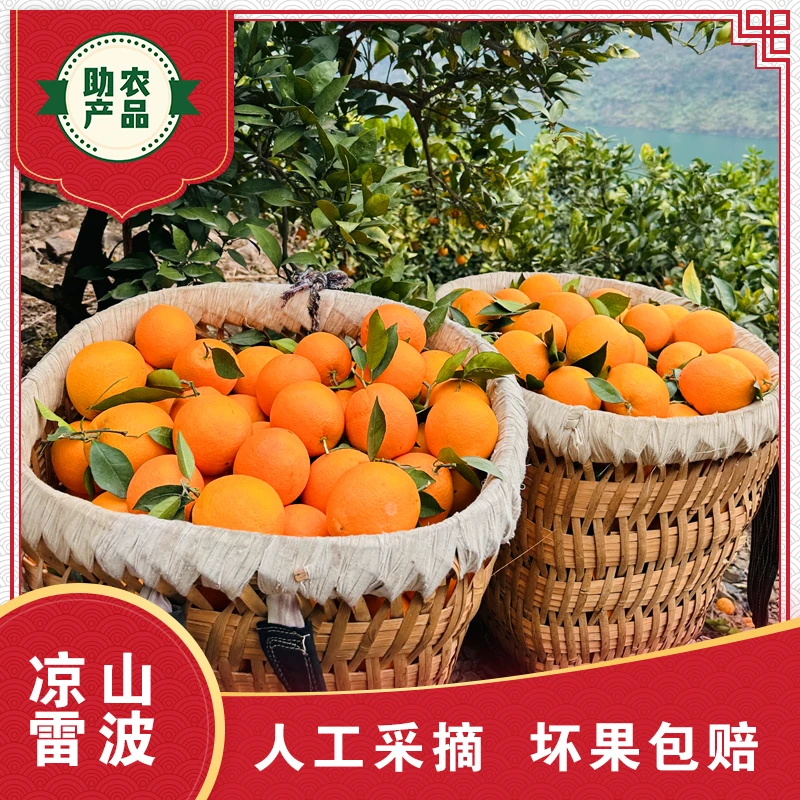 【凉山州雷波】脐橙青杠主产区现摘现发多汁鲜甜5 10斤 京东包邮