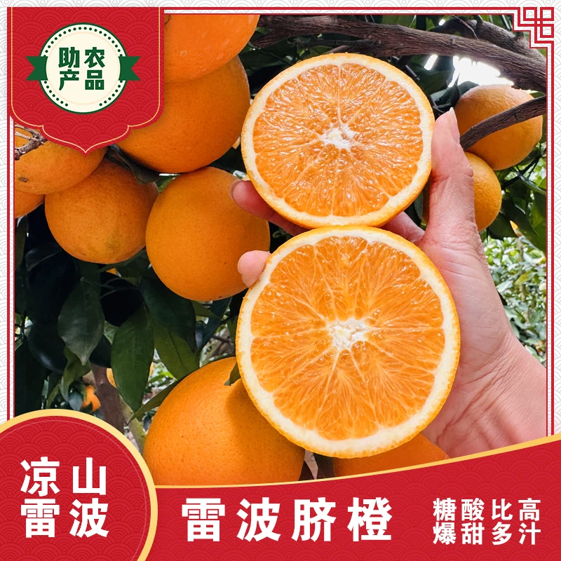 张生贵专属【四川雷波】脐橙青杠村主产区现摘现发多汁鲜甜10斤