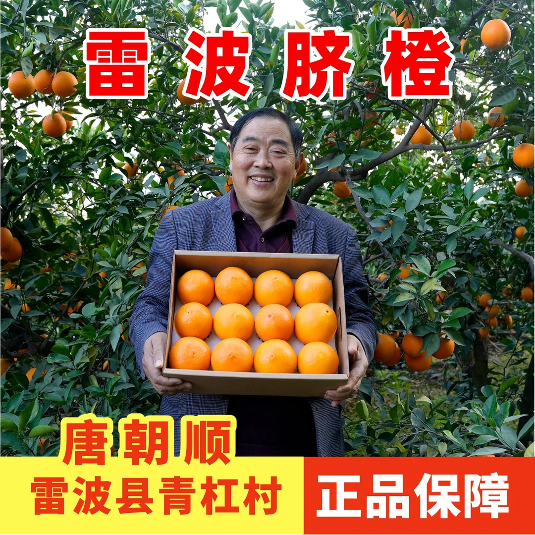 现摘雷波脐橙尝鲜装5斤现摘新鲜当季水果脐橙橙子体验装包邮口感