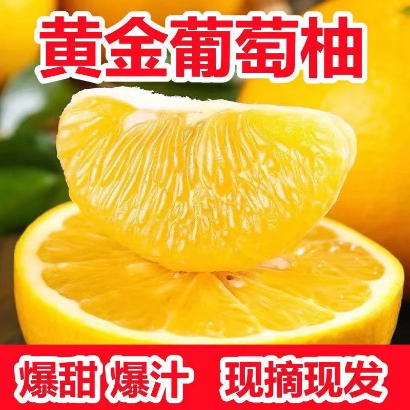 【薄皮多汁】黄金葡萄柚当季新鲜水果4-5个薄皮多汁带箱5斤装