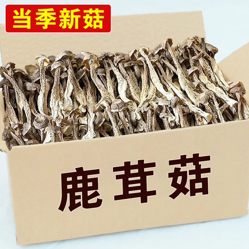 鹿茸菇干货云南特产鲜嫩鹿茸菌餐饮家用煲汤干锅美食深山鹿耳菇