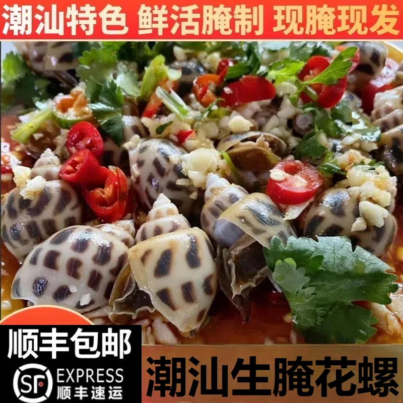 潮汕生腌海鲜网红熟腌花螺东风螺海螺海猪螺腌制水产即食用罐装