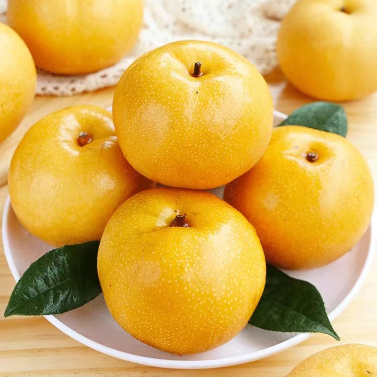 【顺丰快递】山东正宗秋月梨当季细腻化渣新鲜水果净重4.5斤酥脆
