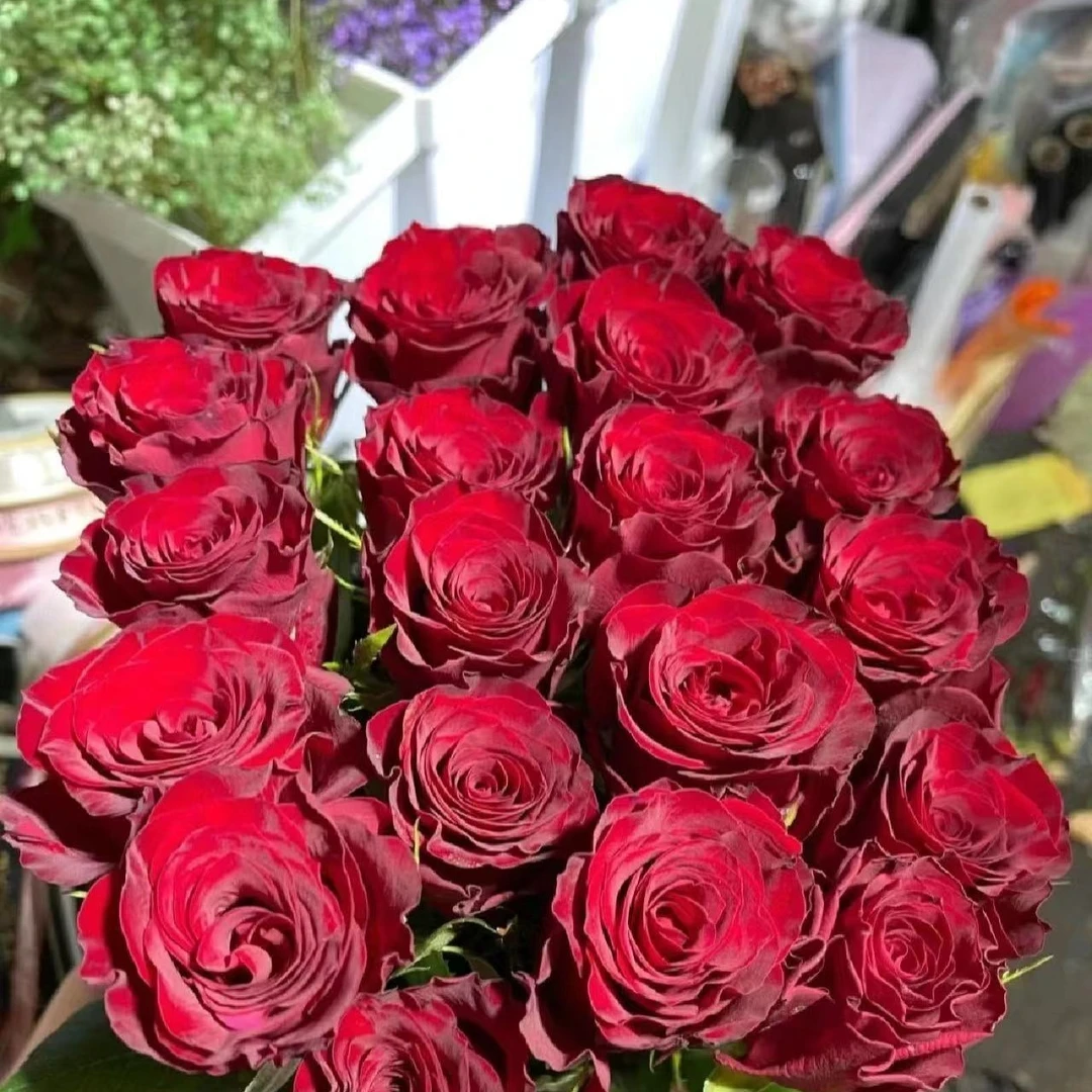 花材批发玫瑰大批量包邮发货
